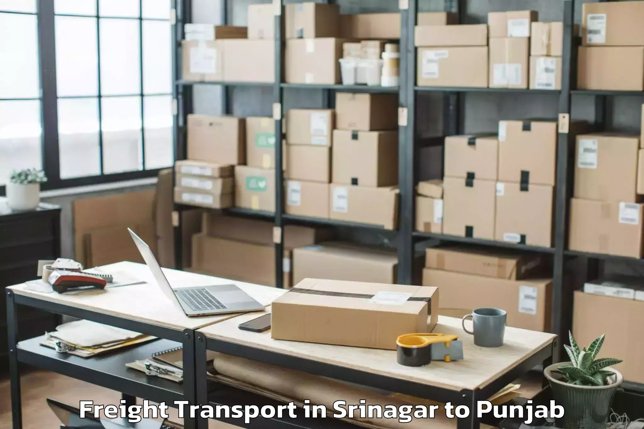 Affordable Srinagar to Zira Freight Transport